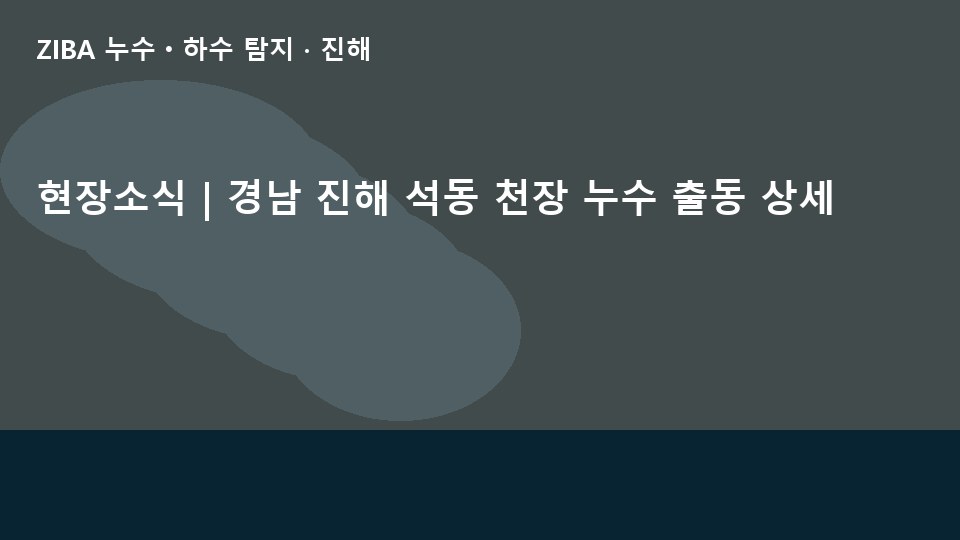 현장소식 | 경남 진해 석동 천장 누수 출동 상세
